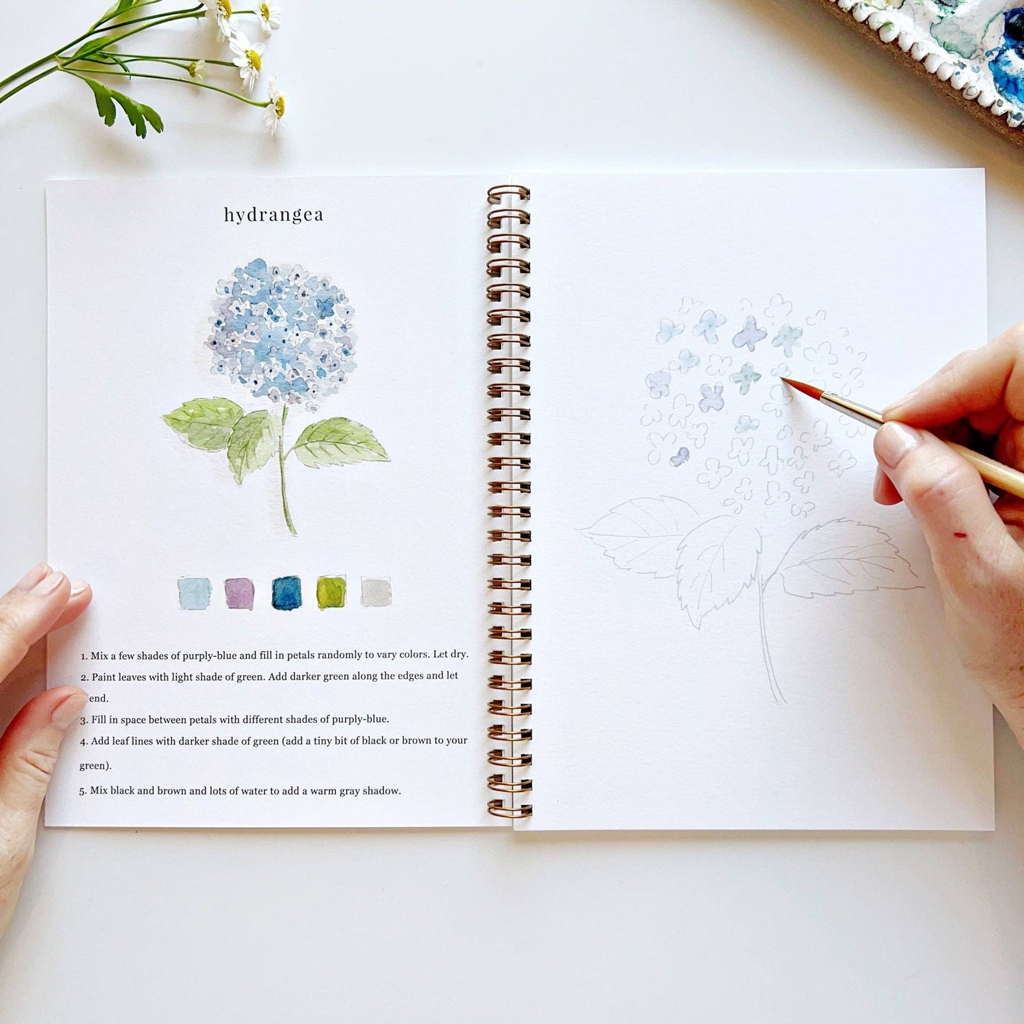 Open spiral-bound book with a drawing of a hydrangea and color swatches, being used to color the flower.