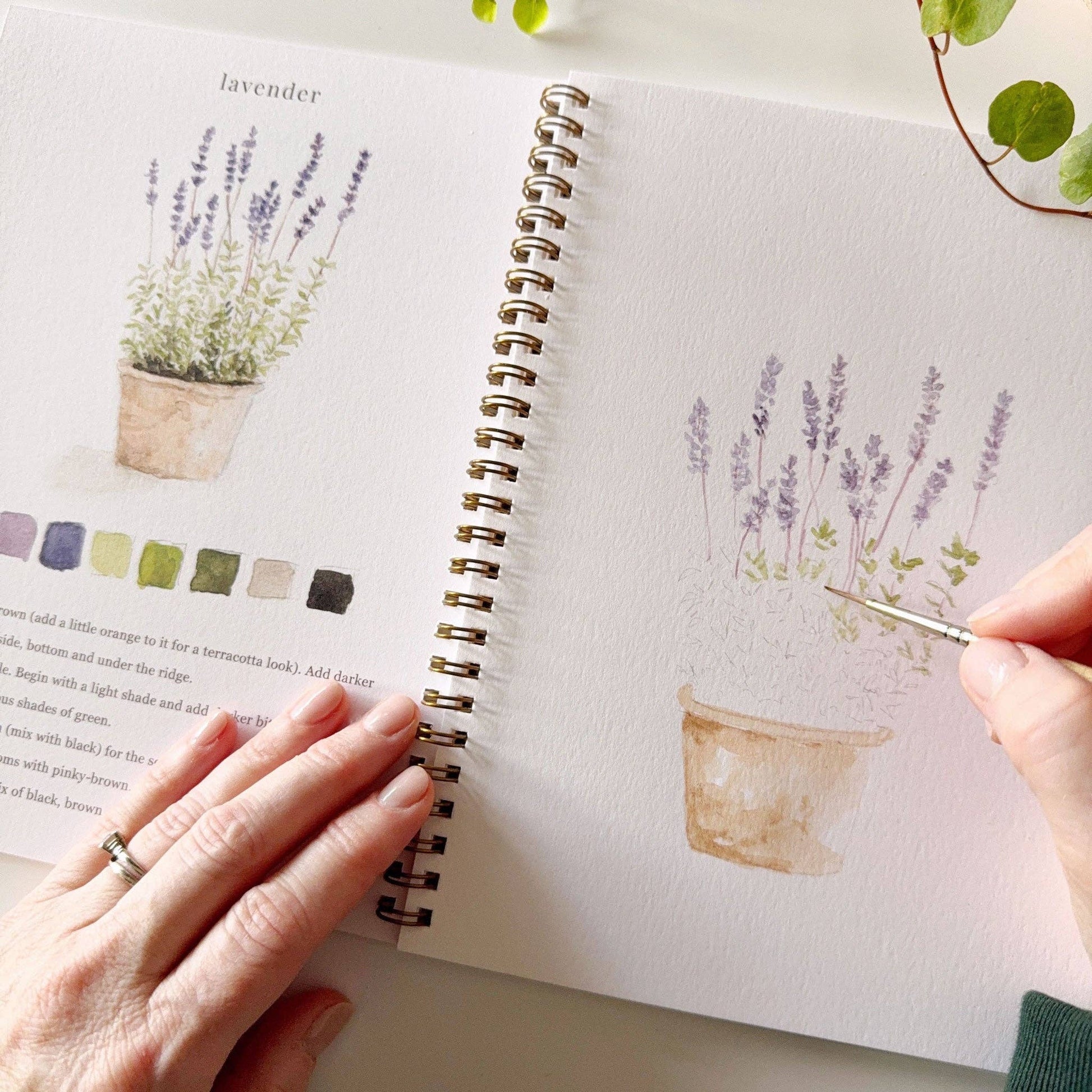 Person drawing lavender plants in a sketchbook with a pen.