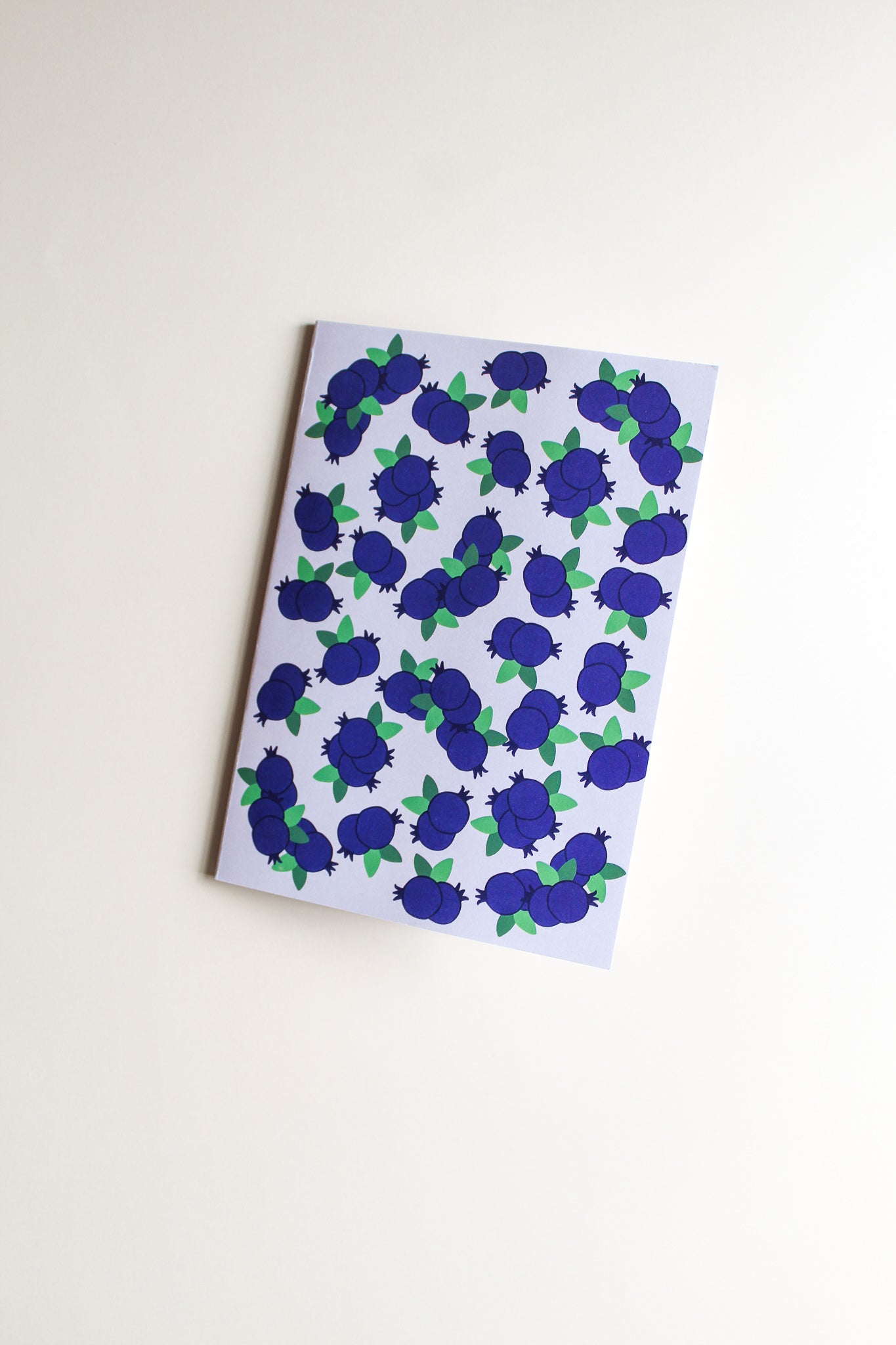 Blueberry Journal