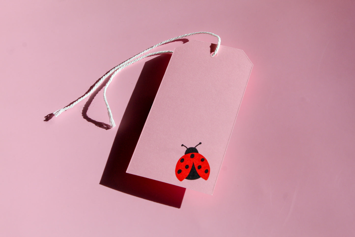 Love Bug Valentine Gift Tags come in sets of eight and include white string. 